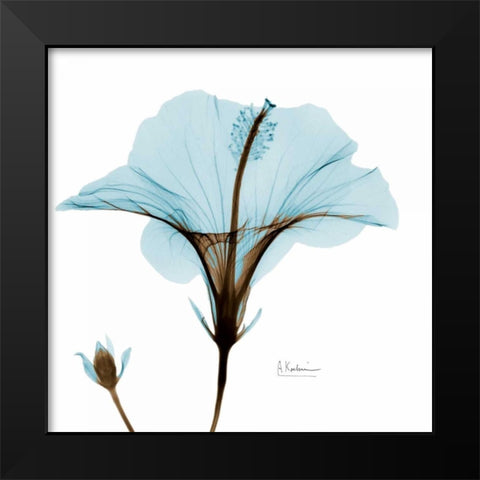 Hibiscus Wave Black Modern Wood Framed Art Print by Koetsier, Albert