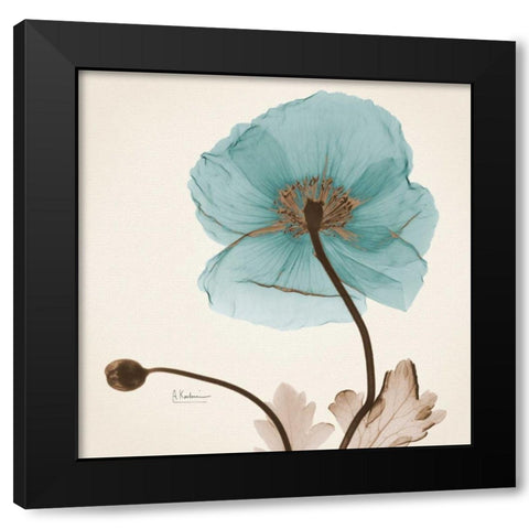 Iceland Poppy Believe Black Modern Wood Framed Art Print by Koetsier, Albert