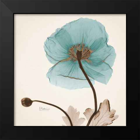 Iceland Poppy Believe Black Modern Wood Framed Art Print by Koetsier, Albert