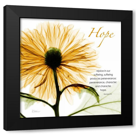 GoldChrysanthemumHOPE Black Modern Wood Framed Art Print with Double Matting by Koetsier, Albert