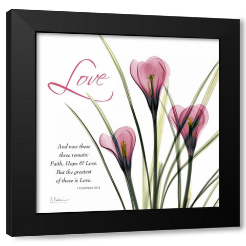 loveCrocusC37 Black Modern Wood Framed Art Print with Double Matting by Koetsier, Albert