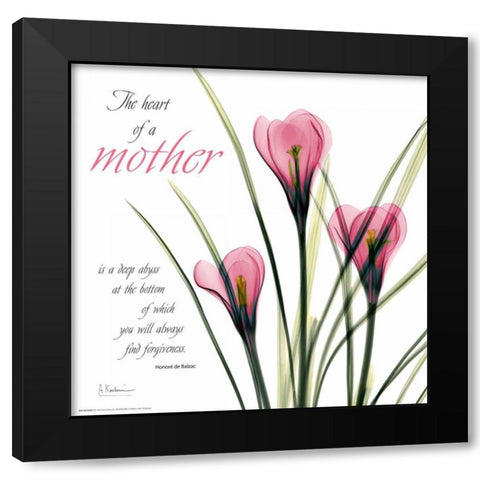 Love Crocus C37 Black Modern Wood Framed Art Print with Double Matting by Koetsier, Albert