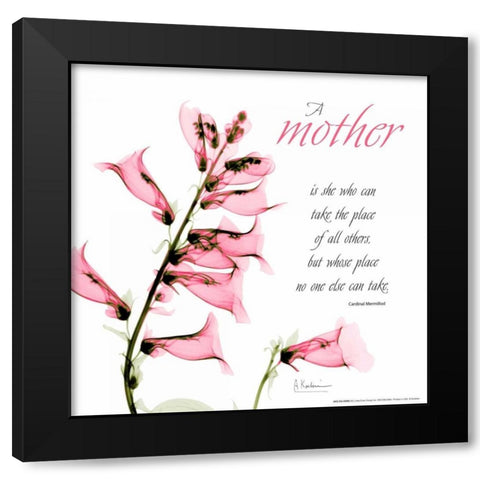 Fox glove Mother Black Modern Wood Framed Art Print with Double Matting by Koetsier, Albert