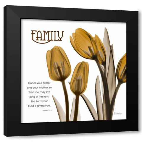 TulipsFamily Black Modern Wood Framed Art Print with Double Matting by Koetsier, Albert