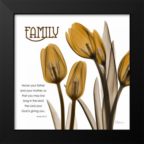 TulipsFamily Black Modern Wood Framed Art Print by Koetsier, Albert