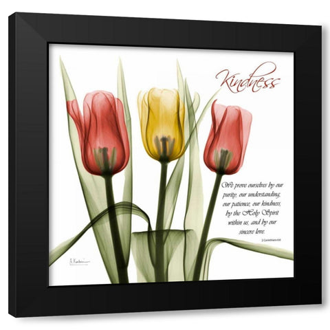 tulipsKindness Black Modern Wood Framed Art Print with Double Matting by Koetsier, Albert