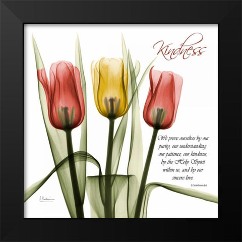 tulipsKindness Black Modern Wood Framed Art Print by Koetsier, Albert
