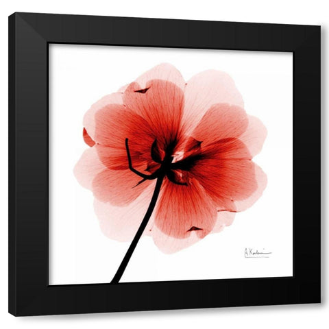 mockDogwood Black Modern Wood Framed Art Print with Double Matting by Koetsier, Albert