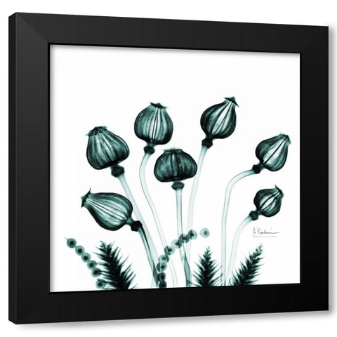 chineseLantern Black Modern Wood Framed Art Print with Double Matting by Koetsier, Albert