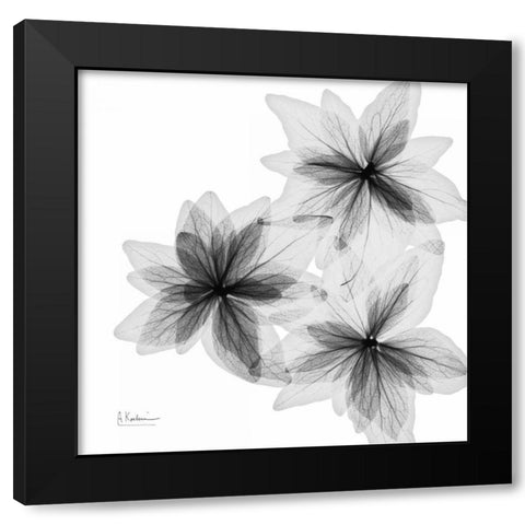 starburst Black Modern Wood Framed Art Print with Double Matting by Koetsier, Albert