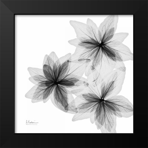 starburst Black Modern Wood Framed Art Print by Koetsier, Albert