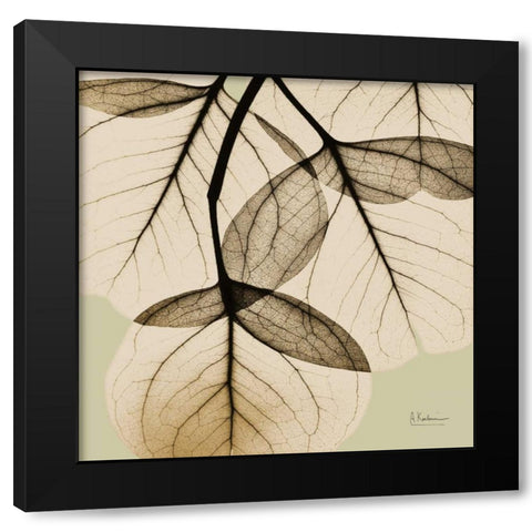 Eucalyptus Black Modern Wood Framed Art Print with Double Matting by Koetsier, Albert