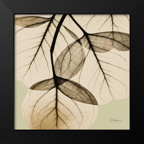 Eucalyptus Black Modern Wood Framed Art Print by Koetsier, Albert