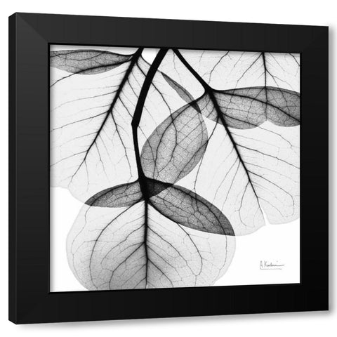 Eucalyptus Black Modern Wood Framed Art Print with Double Matting by Koetsier, Albert