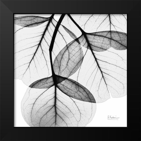 Eucalyptus Black Modern Wood Framed Art Print by Koetsier, Albert