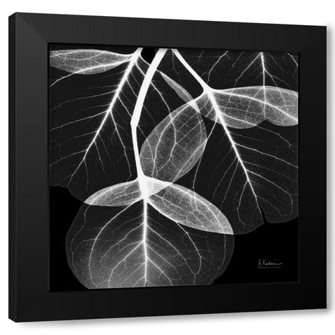 EucalyptusINVERTED Black Modern Wood Framed Art Print with Double Matting by Koetsier, Albert