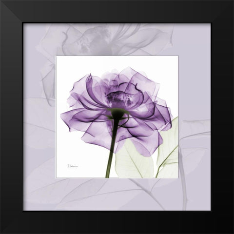 purpleRose Black Modern Wood Framed Art Print by Koetsier, Albert