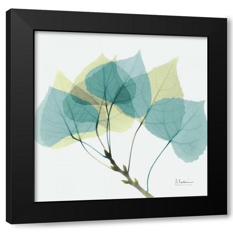 Aspen E143 Black Modern Wood Framed Art Print with Double Matting by Koetsier, Albert