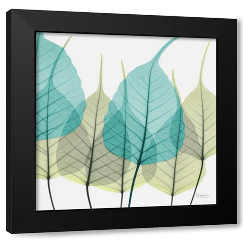 Bodhi Tree Black Modern Wood Framed Art Print with Double Matting by Koetsier, Albert