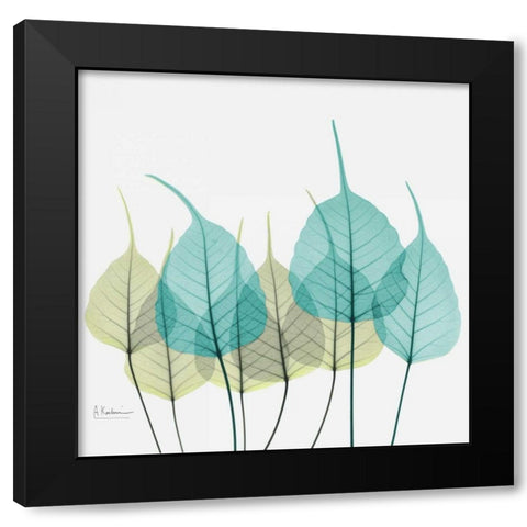 Bodhi Tree Black Modern Wood Framed Art Print with Double Matting by Koetsier, Albert