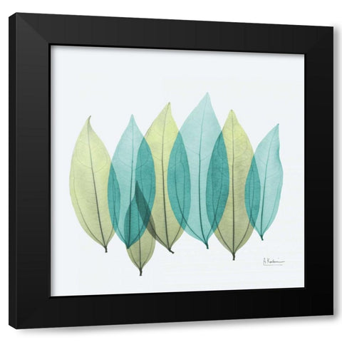 Coculus Leaf L348 Black Modern Wood Framed Art Print with Double Matting by Koetsier, Albert