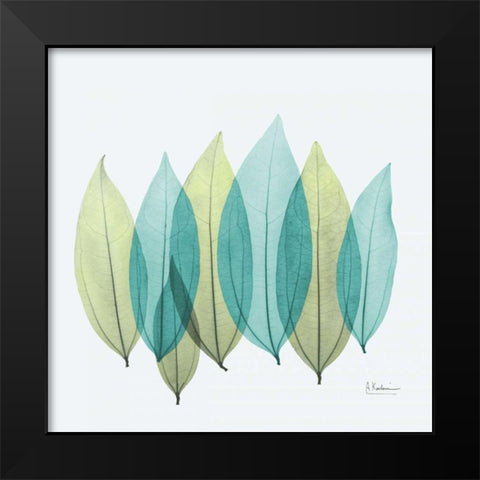 Coculus Leaf L348 Black Modern Wood Framed Art Print by Koetsier, Albert