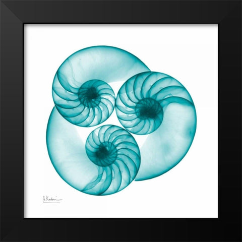 Nautilus Trio Black Modern Wood Framed Art Print by Koetsier, Albert