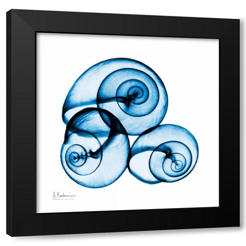 Electric Blue Moonsnails 1 Black Modern Wood Framed Art Print by Koetsier, Albert