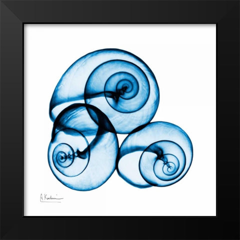 Electric Blue Moonsnails 1 Black Modern Wood Framed Art Print by Koetsier, Albert