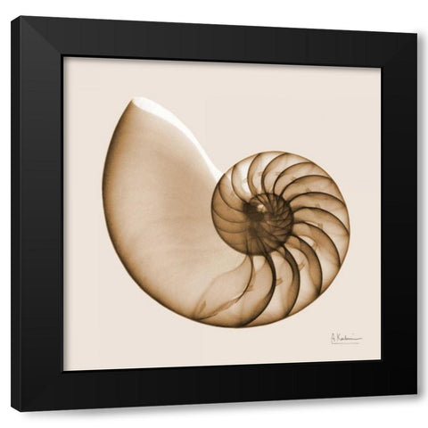 Sepia Nautilus Black Modern Wood Framed Art Print by Koetsier, Albert