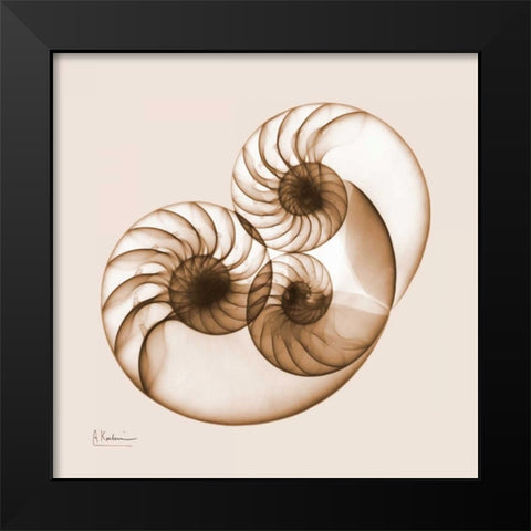 Sepia Nautilus 2 Black Modern Wood Framed Art Print by Koetsier, Albert