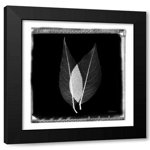 Caplulin Cherry STAR Black Modern Wood Framed Art Print with Double Matting by Koetsier, Albert