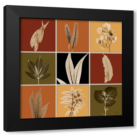 Harvest 9 patch 1 Black Modern Wood Framed Art Print with Double Matting by Koetsier, Albert