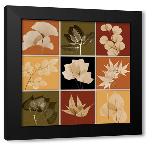 Harvest 9 patch 2 Black Modern Wood Framed Art Print with Double Matting by Koetsier, Albert