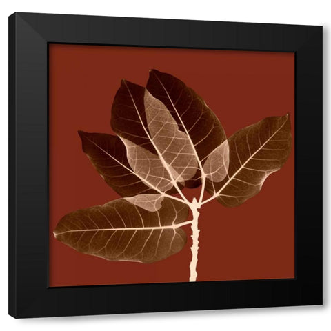 Harvest Leaves 1A Black Modern Wood Framed Art Print by Koetsier, Albert