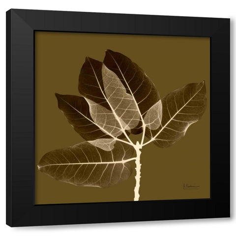 Harvest Leaves 1D Black Modern Wood Framed Art Print with Double Matting by Koetsier, Albert