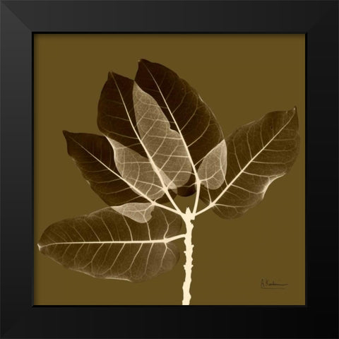 Harvest Leaves 1D Black Modern Wood Framed Art Print by Koetsier, Albert