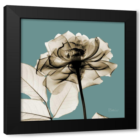 Mineral Rose Black Modern Wood Framed Art Print by Koetsier, Albert