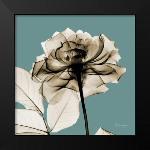 Mineral Rose Black Modern Wood Framed Art Print by Koetsier, Albert