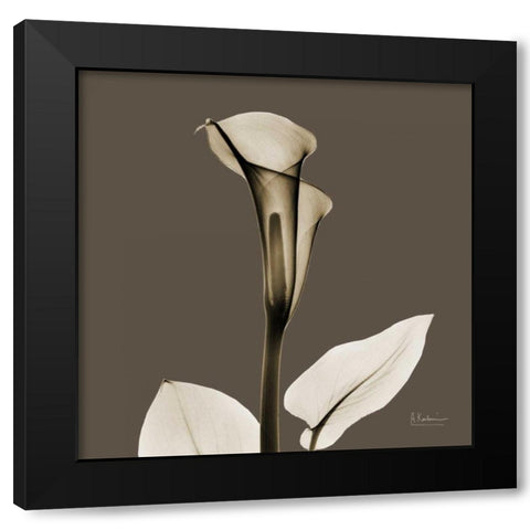 Slate Calla Black Modern Wood Framed Art Print with Double Matting by Koetsier, Albert