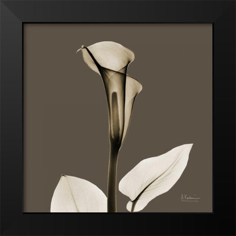 Slate Calla Black Modern Wood Framed Art Print by Koetsier, Albert