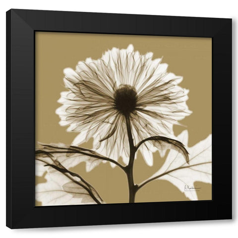 Lark Mum Black Modern Wood Framed Art Print with Double Matting by Koetsier, Albert