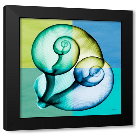 Blue Green Shell 1 Black Modern Wood Framed Art Print with Double Matting by Koetsier, Albert