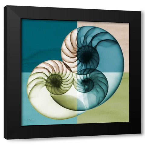 Blue Green Shell 2 Black Modern Wood Framed Art Print by Koetsier, Albert