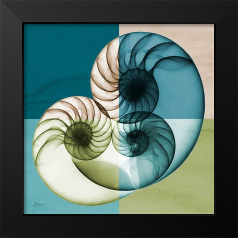 Blue Green Shell 2 Black Modern Wood Framed Art Print by Koetsier, Albert