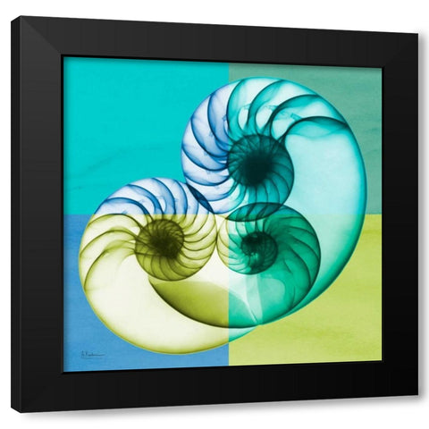 Blue Green Shell 2 Black Modern Wood Framed Art Print with Double Matting by Koetsier, Albert