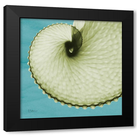 Argonaut Black Modern Wood Framed Art Print with Double Matting by Koetsier, Albert