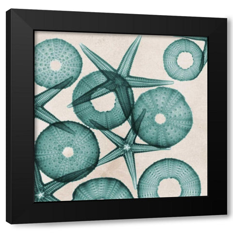 Under The Sea 3 Black Modern Wood Framed Art Print with Double Matting by Koetsier, Albert