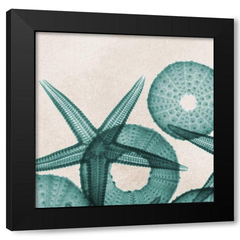 Under The Sea 5 Black Modern Wood Framed Art Print by Koetsier, Albert