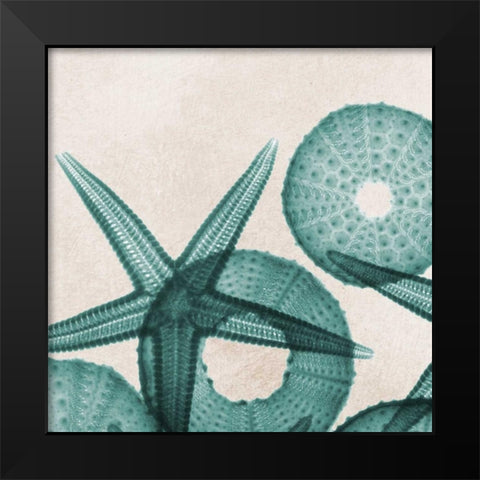 Under The Sea 5 Black Modern Wood Framed Art Print by Koetsier, Albert